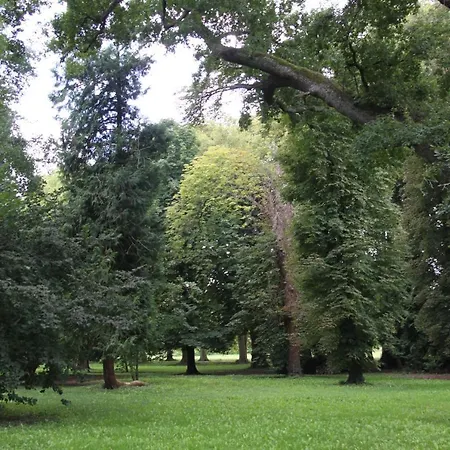 Chateau De Montet Guest house *