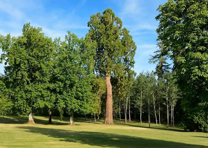 Chateau De Montet 3* Petit-Bersac